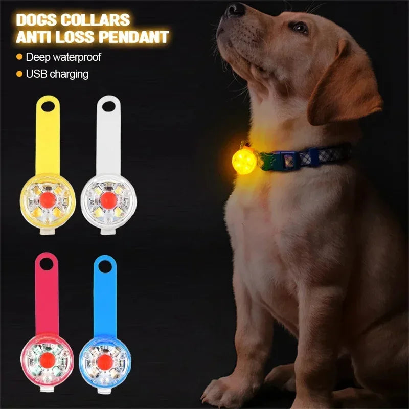 Waterproof USB Rechargeable LED Dog Collar Glowing Pendant 3 Light Modes 8 Hours Battery High Brightness Anti Loss Night Safety