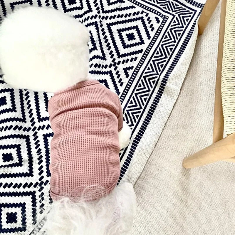 Dog Spring Pullover - Fashion Shirt for Small Dogs