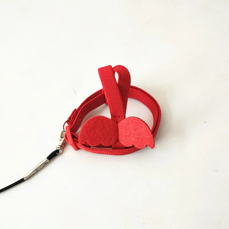 Parrot Flight Harness & Leash - Outdoor Training Suit