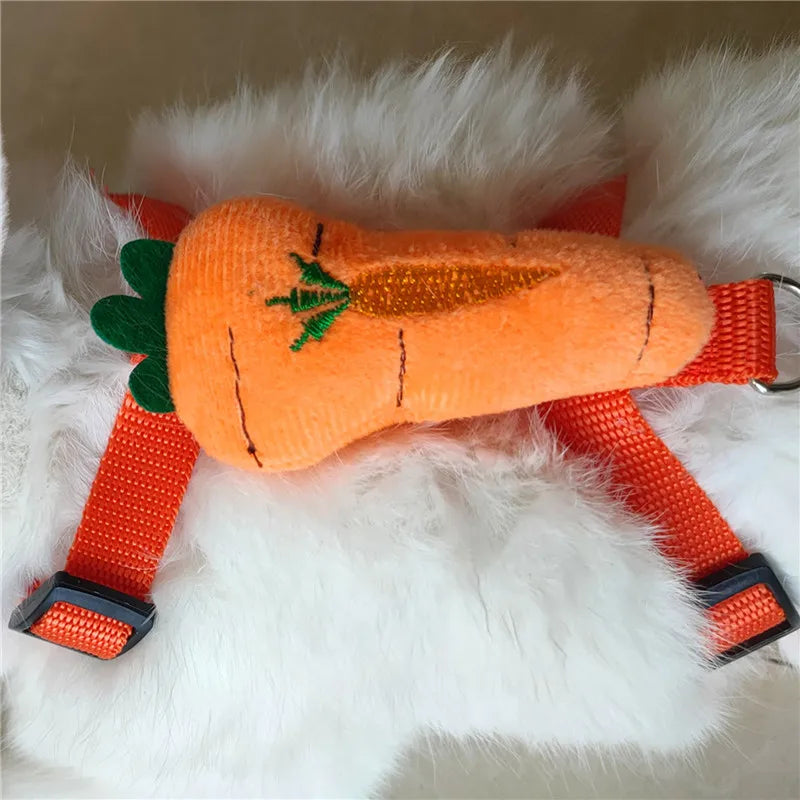 Small Pet Harness & Leash - Adjustable Chest Strap