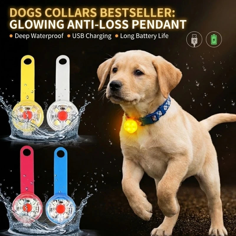 LED Dog Collar Light USB Rechargeable Waterproof Safety Night Walking Flash Pendant Anti-Lost Glow Tag for Puppy Pet Accessories