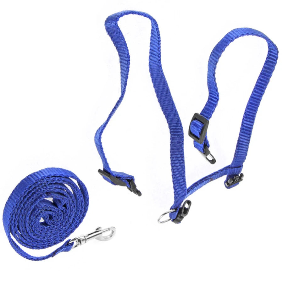 Cat Harness & Leash Set - Escape-Proof H-Style Vest