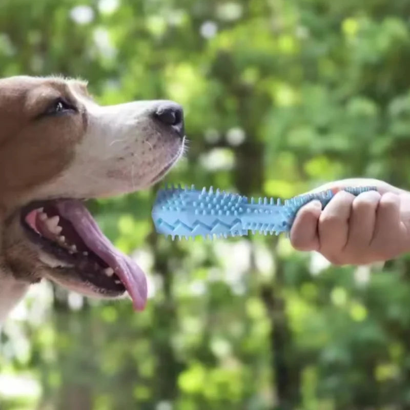 Dog Teething Chew Stick - Bite Resistant Treat Dispenser