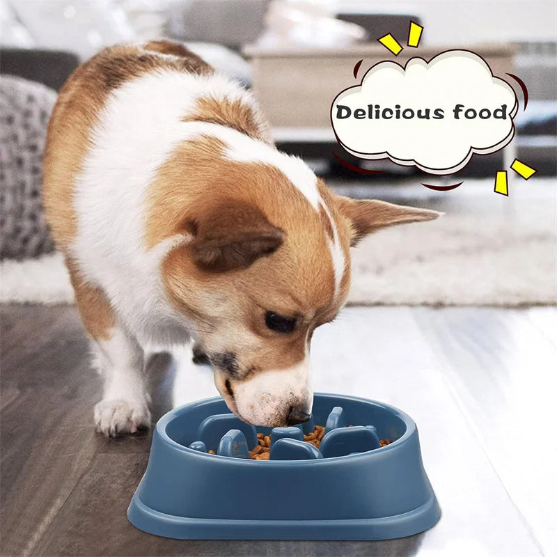 Slow Feeder Dog Bowl Anti Choking Watering & Feeding Supplies Puzzle Feeder Bowl Non-slip Slow Eat Bowl for Dogs Large Small
