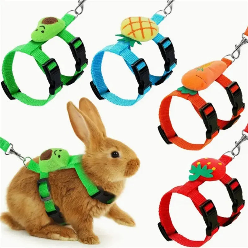 Small Pet Harness & Leash - Adjustable Chest Strap