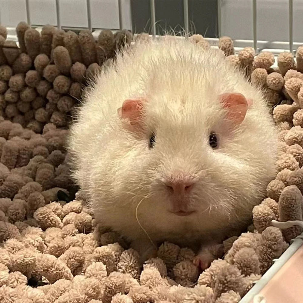 Small Pet Plush Sleeping Cushion - Cosy Bed Mat
