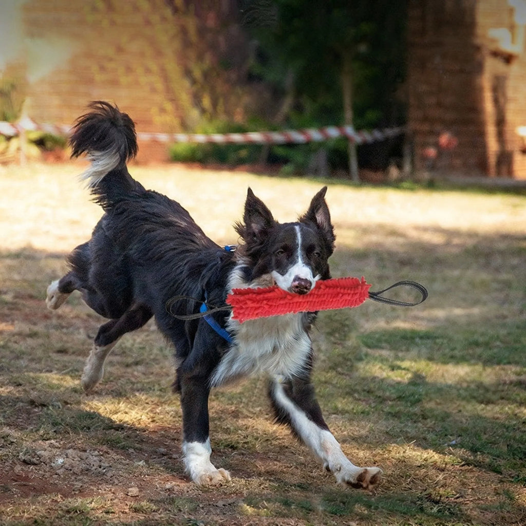 Dog Training Bite Stick - Double Handle Teeth Grinder