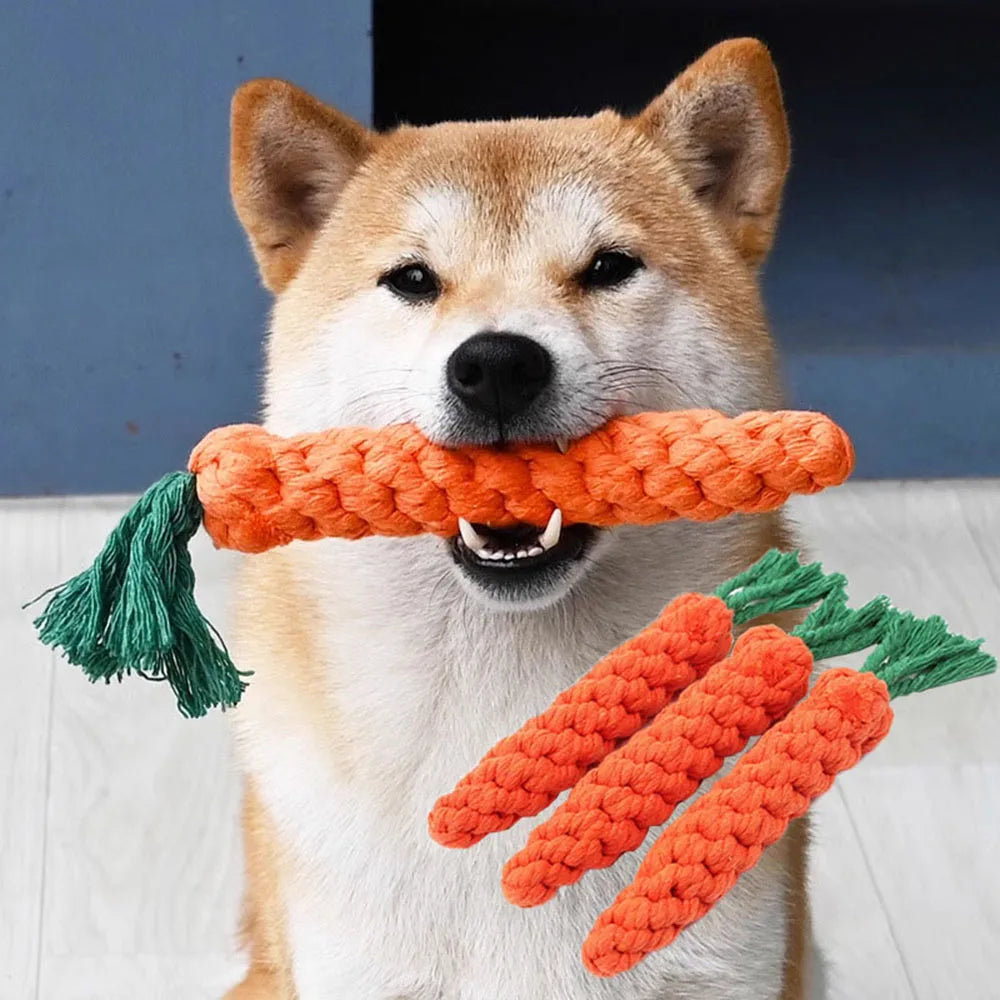 Dog Carrot Rope Toy - Braided Chew Tug