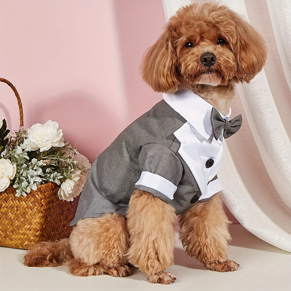 Dog Wedding Suit with Bow Tie - Formal Pet Costume