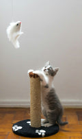 Cat essentials bundle with toys and accessories